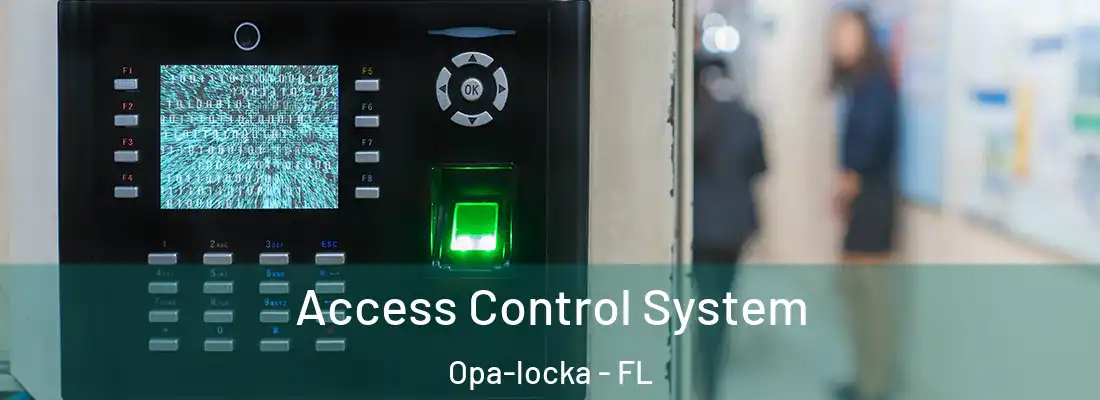 Access Control System Opa-locka - FL