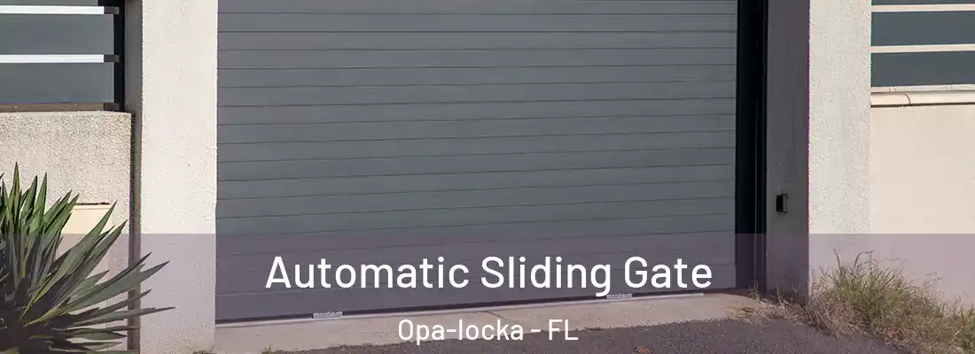  Automatic Sliding Gate Opa-locka - FL