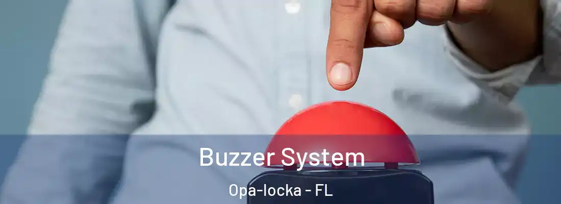  Buzzer System Opa-locka - FL