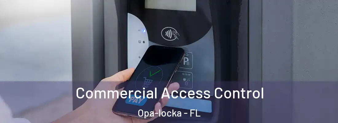 Commercial Access Control Opa-locka - FL
