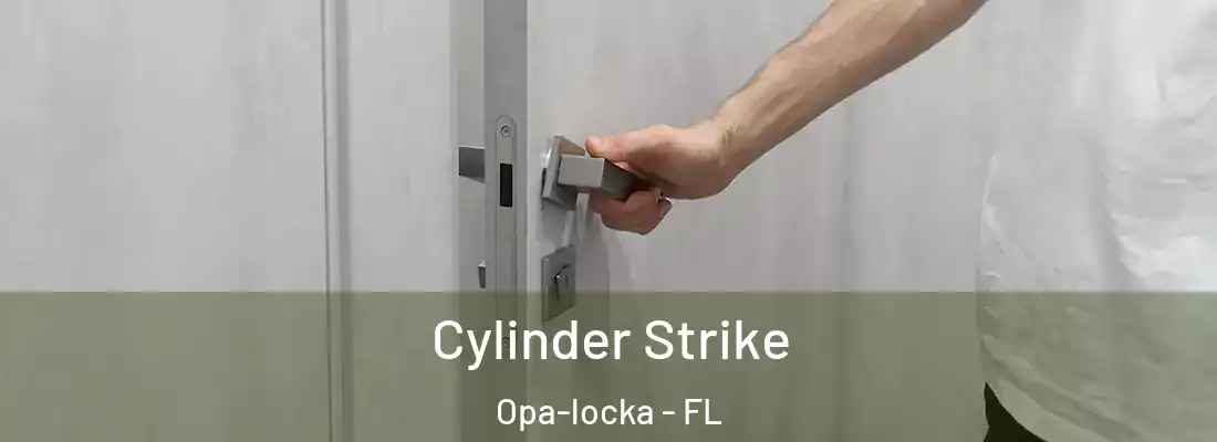  Cylinder Strike Opa-locka - FL