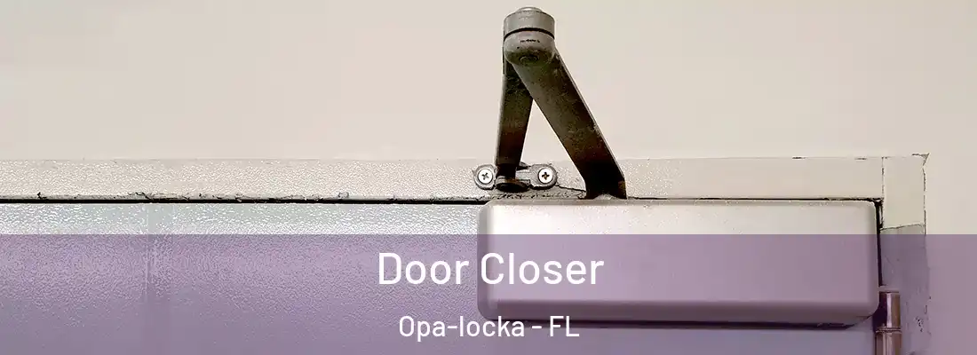 Door Closer Opa-locka - FL