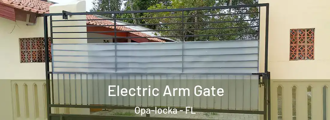 Electric Arm Gate Opa-locka - FL
