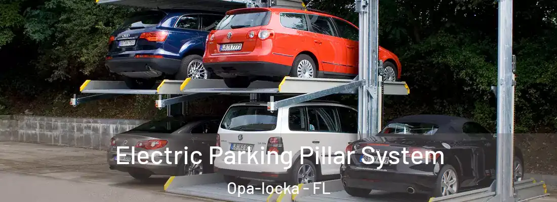  Electric Parking Pillar System Opa-locka - FL