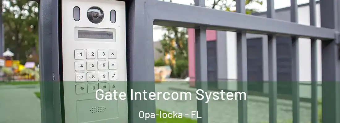 Gate Intercom System Opa-locka - FL