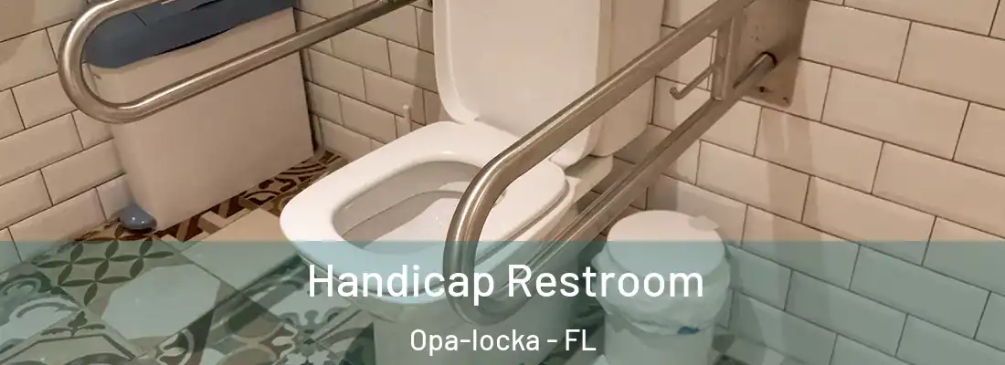 Handicap Restroom Opa-locka - FL