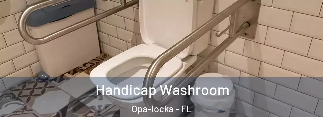 Handicap Washroom Opa-locka - FL