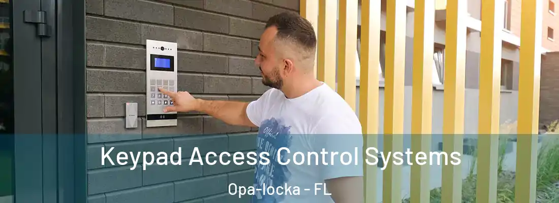 Keypad Access Control Systems Opa-locka - FL