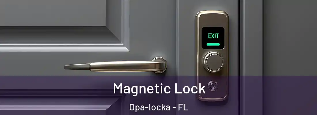 Magnetic Lock Opa-locka - FL