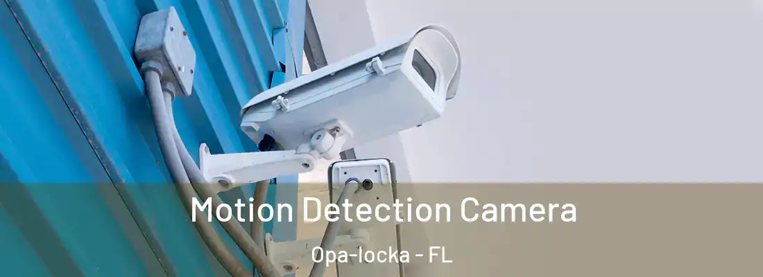 Motion Detection Camera Opa-locka - FL