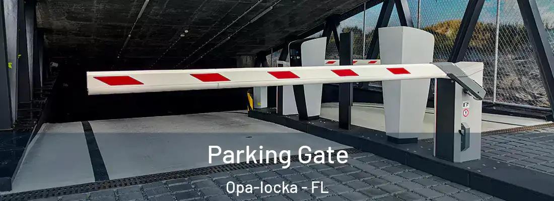  Parking Gate Opa-locka - FL