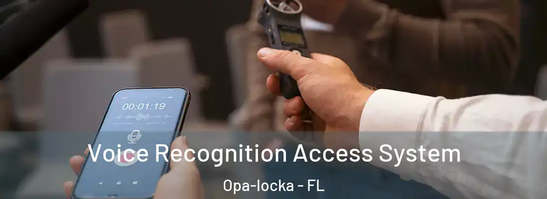 Voice Recognition Access System Opa-locka - FL