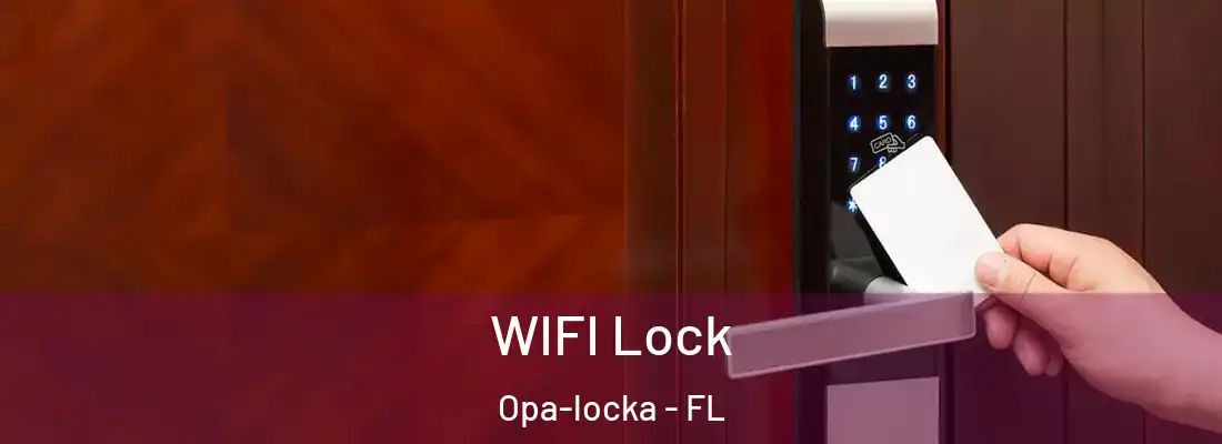  WIFI Lock Opa-locka - FL